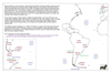 sea35 smi03 south america_thumb.gif
